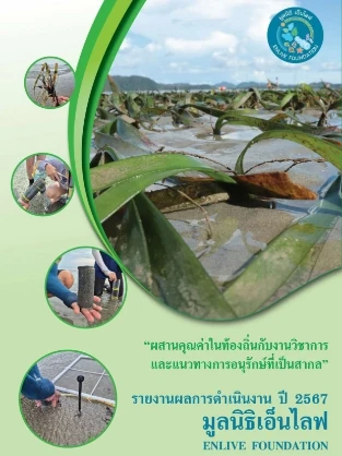 annual report 2567